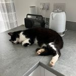 Elaine Townsend - @elaine.townsend15 - Instagram