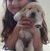 Elaine Wallace - Facebook