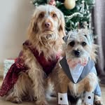 Elaine Webb - @bob_webb_rocks - Instagram