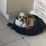 Elaine Webb - @elainewebb8530 - Instagram
