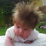 Elaine Webb - @elainewebbbooth - Instagram