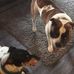 Elaina Webster - Facebook