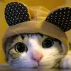 Elaine Webster - @elaine.webster3 - TikTok