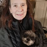 Elaine Wolfe - @wolfe.elaine - Instagram
