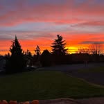 Elaine Wolfe - @elainewolfe90 - Instagram