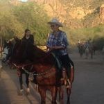 Elaine Appelbee - @appelbeeelaine - Instagram
