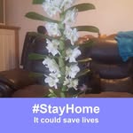 Elaine Appleby - @applebyelaine9 - Instagram