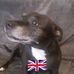Elaine Appleby - Facebook