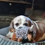 Elaine Solomon Applegate - @elaineapplegate - Instagram