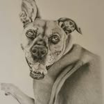 Elaine Ayers Mills - @elaine.a.mills - Instagram