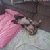 Elaine Babb - Facebook