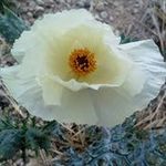 Elaine Bender - @elainebender - Instagram