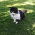 Elaine Bender - Facebook