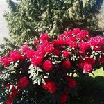 Elaine Bender - @elaine_bender - Instagram