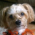 Elaine Marie - @elaine.benoit.54 - Instagram