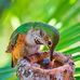 Elaine Bissonnette - Facebook