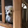 elaineborg_64 - @elaineborg_64 - TikTok
