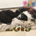 Elaine Bott - @elainebott4u - Instagram