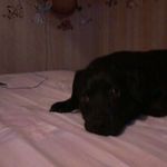 elaine - @elaine_botticelli - Instagram