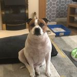 Elaine Boyd - @elaine_boyd_76 - Instagram