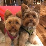 Elaine Boyd - @elaine.boydandpick - Instagram