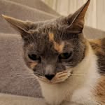 Elaine Boyd - @elaineboyd474 - Instagram