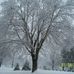 Elaine Bragg - Facebook