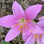 Elaine Whitfill Bragg - @ewbragg - Instagram