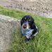 Elaine Brophy - Facebook