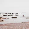 elainebrophy3 - @elainebrophy3 - TikTok