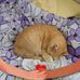 George-Elaine Burch - Facebook