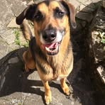 Elaine Burt - Facebook