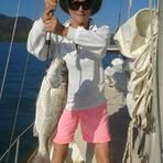 Elaine Bye - Facebook