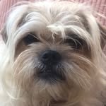 ElaineBye - @elainebye5 - Instagram