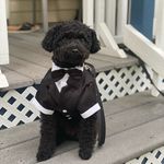 Elaine Gordon Carmichael - @king_louie_louie_carmichael - Instagram