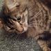 Elaine Carr - Facebook