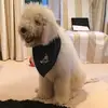 Elaine Caven - @elaine.caven - TikTok