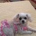 Elaine Chambers - Facebook