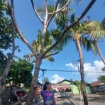 Elaine Chavez - Facebook