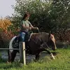 Jill Elaine Cheney - @jill.elaine.chene - TikTok