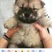 Elaine Cherry - Facebook