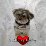 Elaine Ching - @elainebenji - Instagram
