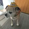 Elaine Coates Hedin - @elaine.coates.hed - TikTok
