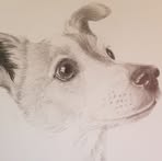 Elaine Conner - Facebook