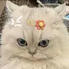 Elaine David - @user57145312349916 - TikTok