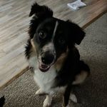 Elaine Dick - @elainedick12 - Instagram
