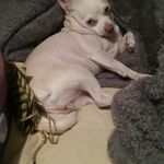 Candy Elaine  Dotson - @candyelainedotso - Instagram