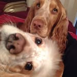 Elaine Downs - @elaine.lorimer.3 - Instagram