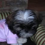 Elaine Downs Muncy - @muncyelaine - Instagram