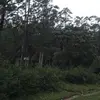 Rajesh_B_Shinde - @elainedowns12200 - TikTok